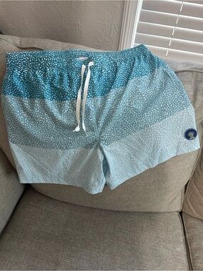 chubbies Blue Ombre Stripe Swim Shorts